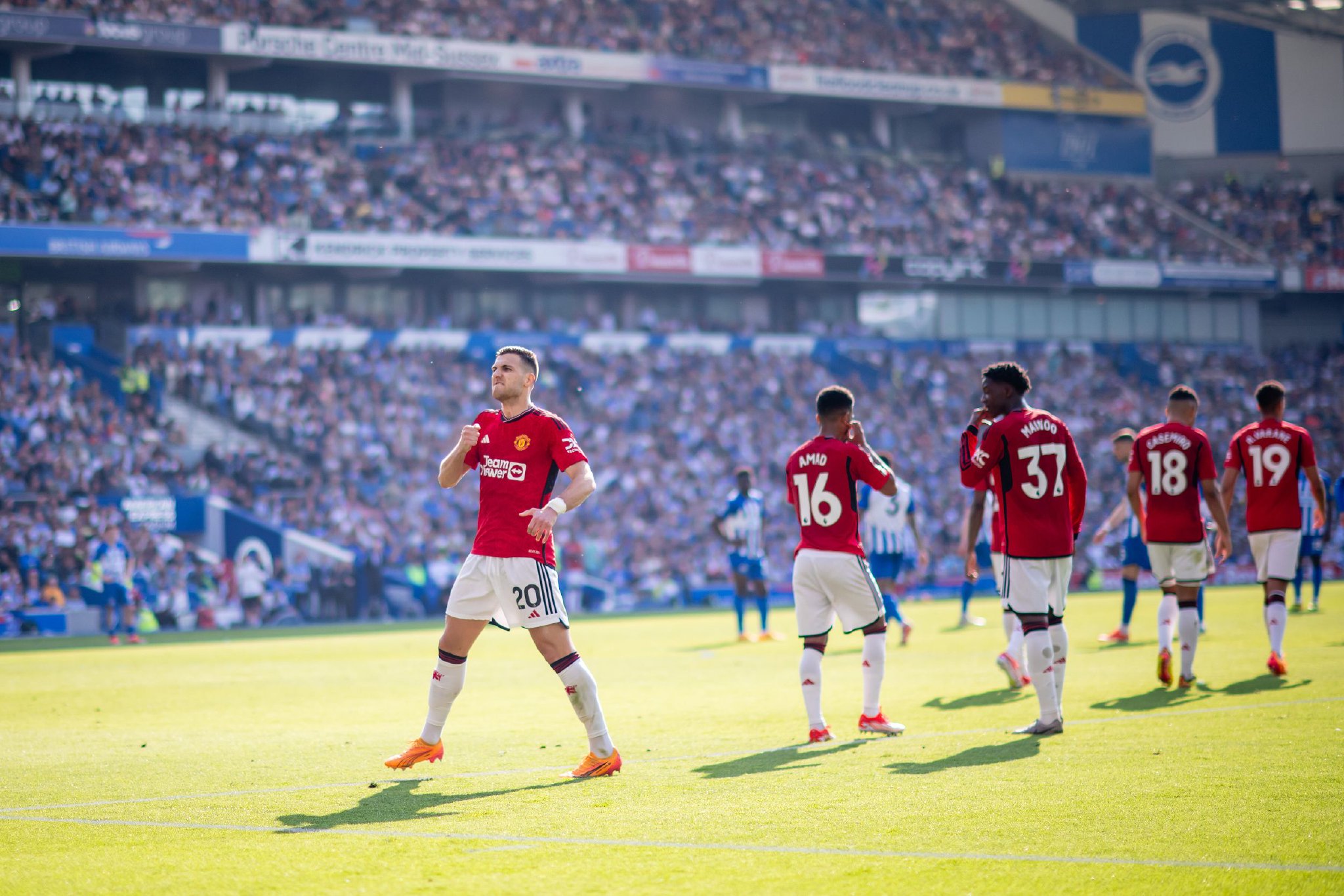 尔的反击战 尔的反击战